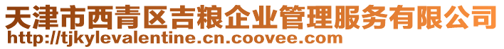 天津市西青區吉糧企業管理服務有限公司
