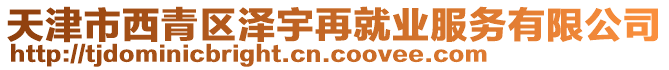 天津市西青區澤宇再就業服務有限公司