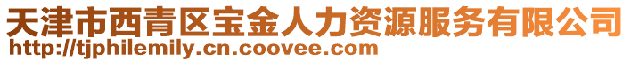 天津市西青區(qū)寶金人力資源服務(wù)有限公司