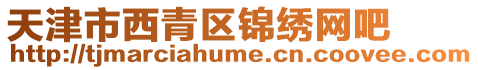 天津市西青區(qū)錦繡網(wǎng)吧