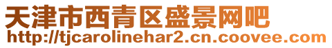 天津市西青區(qū)盛景網(wǎng)吧