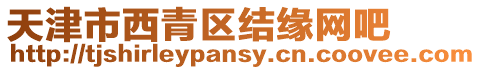 天津市西青區結緣網吧