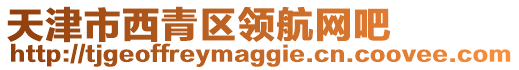 天津市西青區領航網吧