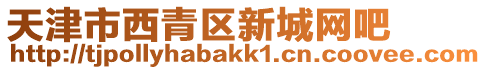 天津市西青區新城網吧
