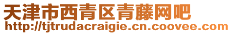 天津市西青區(qū)青藤網(wǎng)吧