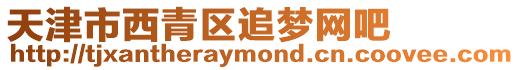天津市西青區(qū)追夢網吧