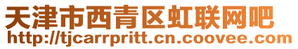 天津市西青區(qū)虹聯(lián)網(wǎng)吧