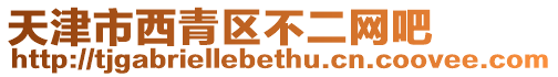 天津市西青區不二網吧