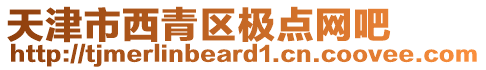 天津市西青區(qū)極點(diǎn)網(wǎng)吧