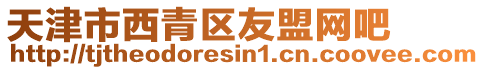 天津市西青區(qū)友盟網(wǎng)吧