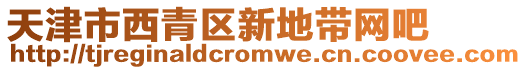 天津市西青區新地帶網吧