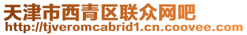 天津市西青區聯眾網吧