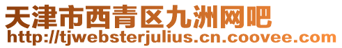 天津市西青區(qū)九洲網(wǎng)吧