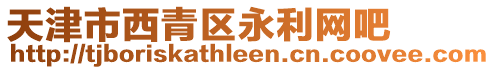 天津市西青區(qū)永利網(wǎng)吧