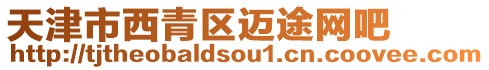 天津市西青區邁途網吧