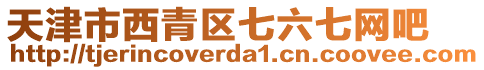 天津市西青區(qū)七六七網(wǎng)吧
