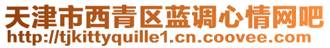天津市西青區(qū)藍調(diào)心情網(wǎng)吧