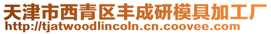 天津市西青區豐成研模具加工廠