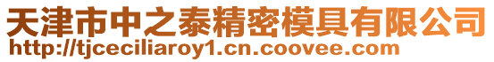 天津市中之泰精密模具有限公司