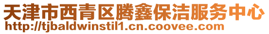 天津市西青區騰鑫保潔服務中心