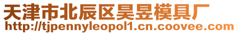 天津市北辰區(qū)昊昱模具廠