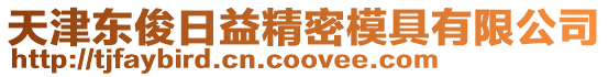天津東俊日益精密模具有限公司