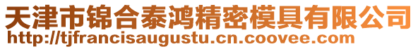 天津市錦合泰鴻精密模具有限公司