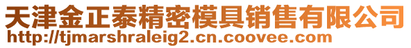 天津金正泰精密模具銷售有限公司