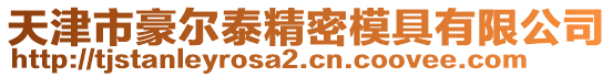 天津市豪爾泰精密模具有限公司