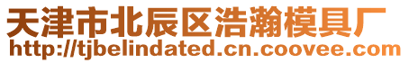 天津市北辰區(qū)浩瀚模具廠