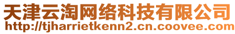 天津云淘网络科技有限公司