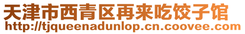 天津市西青區再來吃餃子館