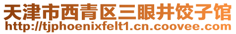 天津市西青區(qū)三眼井餃子館