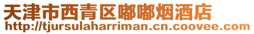 天津市西青區嘟嘟煙酒店