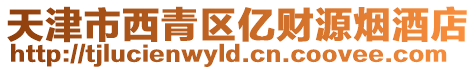 天津市西青區億財源煙酒店