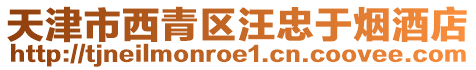 天津市西青區汪忠于煙酒店