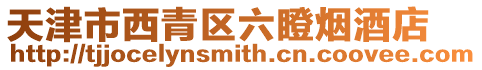 天津市西青區六瞪煙酒店