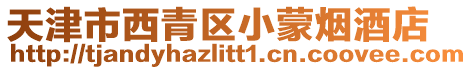 天津市西青區小蒙煙酒店