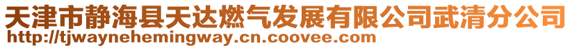 天津市靜海縣天達燃氣發展有限公司武清分公司