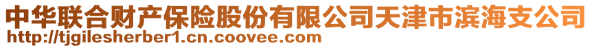 中華聯(lián)合財(cái)產(chǎn)保險(xiǎn)股份有限公司天津市濱海支公司