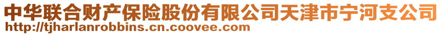 中華聯合財產保險股份有限公司天津市寧河支公司