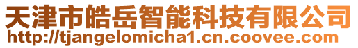 天津市皓岳智能科技有限公司