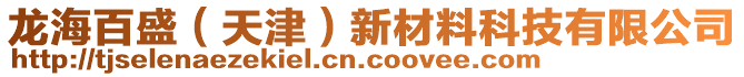 龍海百盛（天津）新材料科技有限公司