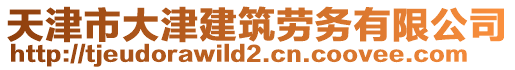 天津市大津建筑勞務(wù)有限公司