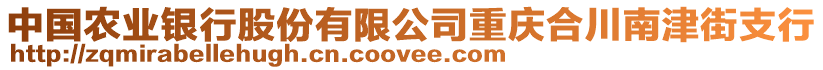 中國農(nóng)業(yè)銀行股份有限公司重慶合川南津街支行