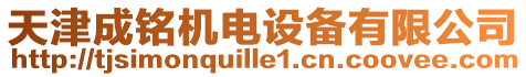 天津成銘機(jī)電設(shè)備有限公司