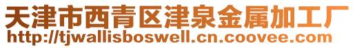 天津市西青區(qū)津泉金屬加工廠