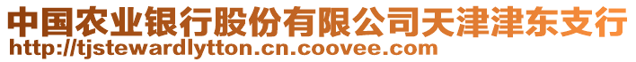 中國農(nóng)業(yè)銀行股份有限公司天津津東支行