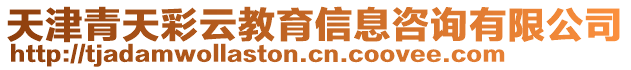 天津青天彩云教育信息咨詢有限公司