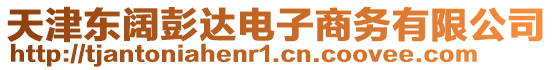 天津東闊彭達(dá)電子商務(wù)有限公司